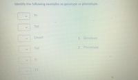 Identify the following examples as genotype or phenotype.
Tt
Tall
Dwarf
1. Genotype
Tall
2. Phenotype
tt
TT
