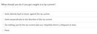 What should you do if you get caught in a rip current?
Swim directly back to shore, against the rip current
Swim perpendicular to the direction of the rip current
Do nothing, just let the rip current take you. Hopefully there's a lifeguard on duty.
Panic
