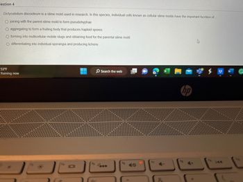 estion 4
Dictyostelium discoideum is a slime mold used in research. In this species, individual cells known as cellular slime molds have the important fucntion of.....
O joining with the parent slime mold to form pseudohyphae
O aggregating to form a fruiting body that produces haploid spores
O forming into multicellular mobile slugs and obtaining food for the parental slime mold
O differentiating into individual sporangia and producing lichens
53°F
Raining now
IDI
O Search the web
BEE
17
hp
4
G