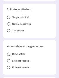 3- Ureter epithelium
O Simple cuboidal
Simple squamous
O Transitional
4- vessels inter the glamorous
O Renal artery
O afferent vessels
O Efferent vessels
