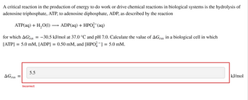 A critical reaction in the production of energy to do work or drive chemical reactions in biological systems is the hydrolysis of
adenosine triphosphate, ATP, to adenosine diphosphate, ADP, as described by the reaction
ATP(aq) + H₂O(1)
ADP(aq) + HPO2 (aq)
for which AGixn = -30.5 kJ/mol at 37.0 °C and pH 7.0. Calculate the value of AGrxn in a biological cell in which
[ATP] = 5.0 mM, [ADP] = 0.50 mM, and [HPO2¯] = 5.0 mM.
AGrxn
5.5
Incorrect
kJ/mol