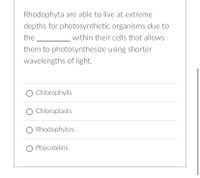 Rhodophyta are able to live at extreme
depths for photosynthetic organisms due to
the
within their cells that allows
them to photosynthesize using shorter
wavelengths of light.
Chlorophylls
O Chloroplasts
O Rhodophytes
O Phycobilins
