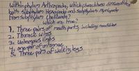 withinphylum Arthapada, which chorachtar) diffecstig
both sabphylum Hexapac and subphylus Myriapady
From Subphylun Chelikacata?
which are Frue?
1, Three palrs ofF mouth parts, includng mndibler
2. Tharade whgs
3. Unramous llmps
4 onepalrafonteange,
5. Thre pals af walklng legs
