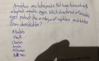 Amnotes ar tehapads Hhat have terrestraly
adapled anneie eggs, ofamble
which strachrese
eggs potet the embryoof reptiles and birds
from dessication?
Allerb's
shell
Chorlos
Anno
Albumen
Yok sac
Litinl velority of the particle is v(0) = 3, find
