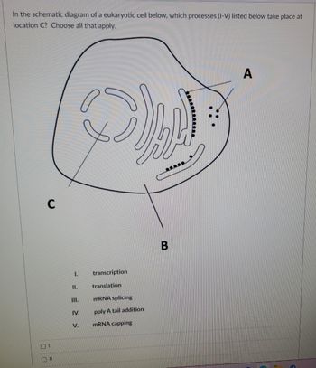 Answered: In The Schematic Diagram Of A… 