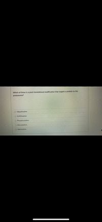 Which of these is a post-translational modification that targets a protein to the
proteasome?
O Ubiquitination
O SUMOylation
O Phosphorylation
O Glycosylation
O Methylation
