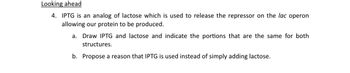 Looking ahead
4. IPTG is an analog of lactose which is used to release the repressor on the lac operon
allowing our protein to be produced.
a. Draw IPTG and lactose and indicate the portions that are the same for both
structures.
b. Propose a reason that IPTG is used instead of simply adding lactose.