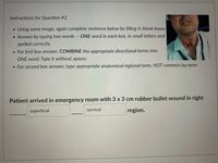 Instructions for Question #2
• Using same image, again complete sentence below by filling in blank boxes
• Answer by typing two words
ONE word in each box, in small letters and
spelled correctly
• For first box answer, COMBINE the appropriate directional terms into
ONE word; Type it without spaces
• For second box answer, type appropriate anatomical regional term, NOT common lay term
Patient arrived in emergency room with 3 x 3 cm rubber bullet wound in right
superficial
cervical
region.
