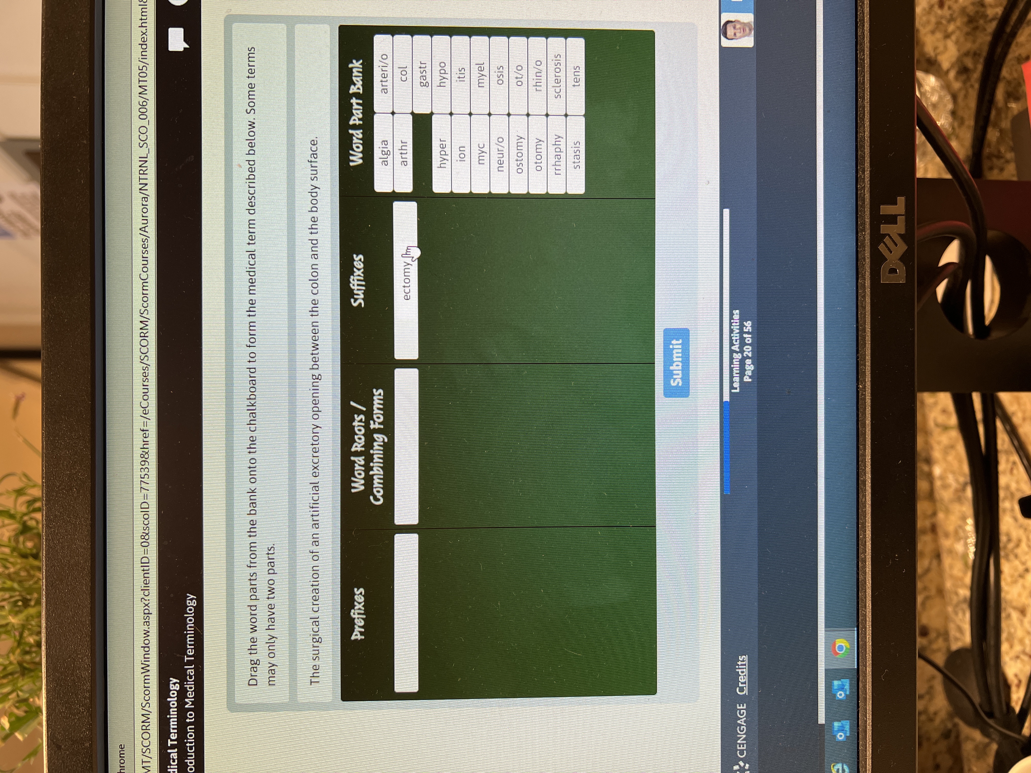 hrome
MT/SCORM/ScormWindow.aspx?clientID=0&scolD=D77539&href=D/eCourses/SCORM/ScormCourses/Aurora/NTRNL_SCO_006/MT05/index.html8
dical Terminology
oduction to Medical Terminology
Drag the word parts from the bank onto the chalkboard to form the medical term described below. Some terms
may only have two parts.
The surgical creation of an artificial excretory opening between the colon and the body surface.
Word Part Bank
Word Roots/
Combining Forms
Prefixes
Suffixes
algia
arteri/o
ectomy
arthr
col
gastr
hyper
myel
neur/o
osis
0/10
rhin/o
ostomy
otomy
rrhaphy
sclerosis
stasis
Submit
CENGAGE Credits
Learning Activities
Page 20 of 56
0ךד
