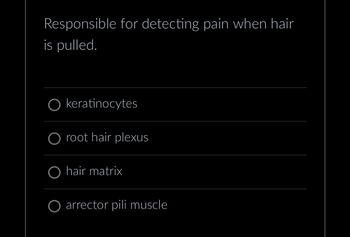 Responsible for detecting pain when hair
is pulled.
O keratinocytes
O root hair plexus
O hair matrix
O arrector pili muscle