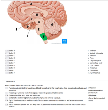 Answered: Letter A Letter B Letter C … | Bartleby