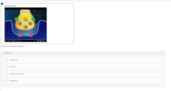 Required information
30s
Multiple Choice
Acetylcholine in the synaptic cleft binds to
0:00 0:45
Synaptic vesicles
Calcium ions
Action potential
Ligand-gated sodium channels
Carrier proteins
P
-Presynaptic terminal
1x
CC
D