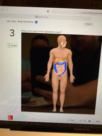 < >
A ezto.mheducation.com
S MyPath Home
Lab 1 Quiz - Body Orientation
Saved
What is the name of the highlighted organ?
00:29:16
Mc
Graw
Hill
Education
< Prev
3 of 12
Next
MacBook Air
