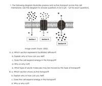 Answered: a. hich section represents fTacilitated… | bartleby