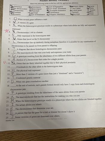 1.
Autosomes
B.Sex chromosomes
C.Chromosome
DDominant
Recessive
Practice: Heredity Vocabulary
Match the following terms in the box with the appropriate definition.
Homozygous
G.Heterozygous
H.Phenotype
Genotype
✓ Law of Dominance
When several genes influence a trait.
2. ✓ A version of a gene
3.
K-Law of Segregation
Law of Ind. Assortment
Incomplete dominance
Codominance
Polygenic Inheritance
Multiple Alleles
Q. Sex-Linked
BLinked genes
S. Epistasis
Karyotype
Carrier
Allele
W. Protein
X DNA
Gene
When the heterozygous genotype results in a phenotype where both alleles are fully and separately
expressed
4.
प्रे
Chromosomes 1-44 in a human
5. N Only expressed in the homozygous state
6. ✓ Genes that travel on the X chromosome
7. ✓ Chromosomes line up randomly during metaphase therefore it is possible for any combination of
chromosomes to be passed on from parent to offspring.
8.
T
9.
A diagram that shows homologous chromosome pairs
C The macromolecule that runs your body and expresses your traits
10. ✓ A genotype resulting from the inheritance of two different alleles from your parents
11. A Section of a chromosome that codes for a single protein
R 12. Q Genes that are likely inherited together due to their physical proximity
13.
Overshadows the other allele in the heterozygous state
14. + The physical trait expressed
15. P More than 2 versions of a gene (more than just a "dominant" and a "recessive")
16.
Condensed genetic material
17. D When one gene overshadows another
18.
19.
At the end of meiosis, each gamete formed should only have 1 copy form each homologous
chromosome pair
F
A genotype resulting from the inheritance of the same alleles from your parents
20. ✗The macromolecule that has the instructions for making you who you are
When the heterozygous genotype results in a phenotype where the two alleles are blended together
I The actual alleles you inherit
21.
M
22.
23. B
The chromosomes that determine your sex
24. EA person that has the gene for a trait or disease but doesn't show it
25.
JSome versions of genes are dominant over others.
Heredity Unit
It's Not Rocket Science 2020