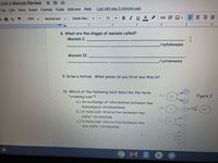 Unit 6 Meiosis Review
File Edit View Insert Format Tools Add-ons Help
Last edit was 3 minutes ago
Comic San...
BIUA
100%
Normal text
12
1
2
8. What are the stages of meiosis called?
Meiosis I:
/cytokinesis
Meiosis II:
/cytokinesis
9. Draw a tetrad: What phase do you first see this in?
10. Which of the following best describe the term
A)
Figure 2
"crossing over"?
a.) An exchange of information between two
homologous chromosomes
b.) A molecular interaction between two
B)
2n
sister chromatids
c.) A molecular interaction between two
C)
2n
non-sister chromatids
D)
2n
