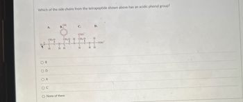 Which of the side chains from the tetrapeptide shown above has an acidic phenol group?
A.
OH
B.
C.
D.
COO
CH3O
H
CH2O
CH2O
H
H3N-C-C-N-C-C-N-C-C-N-C-COO
B
H
H H
OA
Oc
O None of them
H
HH