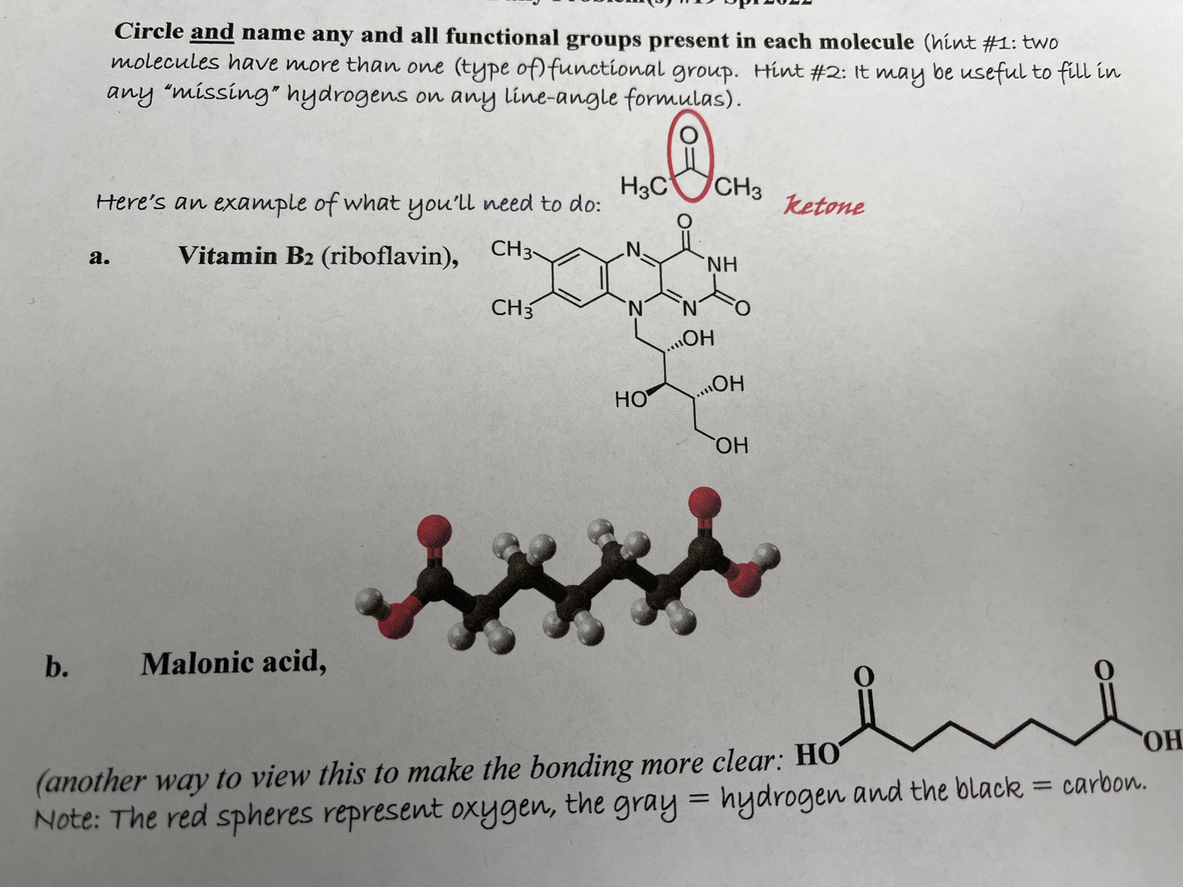 Circle and name any and all functional groups present in each molecule (hint #1: two
molecules have more than one (type of) functional group. Hint #2: It may be useful to fill in
any "missing" hydrogens on any line-angle formulas).
CH3
H3C
Here's an example of what you'll need to do:
ketone
Vitamin B2 (riboflavin),
CH3~
а.
H.
CH3
N.
HOH
HO
HO.
b.
Malonic acid,
(another way to view this to make the bonding more clear: HO
Note: The red spheres represent oxygen, the gray = hydrogen and the black = carbon.
%3D
