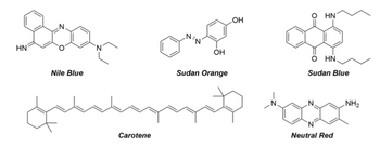 HN
Nile Blue
Juhaken
Carotene
OH
Sudan Orange
OH
O=
HN
Ο ΗΝ.
Sudan Blue
Neutral Red
NH₂