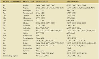 Answered: Dna template strand: TAC blank blank… | bartleby