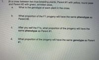 ---

### Genetics Problem Set

**1. In a cross between two true-breeding plants, Parent #1 with yellow, round peas and Parent #2 with green, wrinkled peas:**

**a. What is the genotype of each plant in the cross?**

**b. What proportion of the F1 progeny will have the same phenotype as Parent #2?**

**c. After you self the F1s, what proportion of the progeny will have the same phenotype as Parent #1?**

**d. What proportion of the progeny will have the same genotype as Parent #1?**

To solve these problems, apply your understanding of Mendelian genetics, such as dominant and recessive traits, phenotypes, and genotypes. Use Punnett squares where necessary to visualize the cross and determine the expected ratios of different traits in the progeny.

**Note:**
- Yellow (Y) is dominant to green (y).
- Round (R) is dominant to wrinkled (r).

---

In part **a**, you will determine the genotypes based on the phenotypes and the principle that true-breeding plants are homozygous.

For part **b**, you will calculate the proportion of F1 progeny that resemble the green, wrinkled phenotype of Parent #2.

In part **c**, after self-fertilizing the F1 generation, compute the proportion of the progeny with the yellow, round phenotype of Parent #1.

Lastly, in part **d**, analyze the proportion of the F2 progeny that have the same genotype as Parent #1.

---