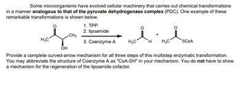 Some microorganisms have evolved cellular machinery that carries out chemical transformations
in a manner analogous to that of the pyruvate dehydrogenase complex (PDC). One example of these
remarkable transformations is shown below.
معلم
H3C
1. TPP
2. lipoamide
CH3
+
3. Coenzyme A H3C
H
H3C
SCOA
он
Provide a complete curved-arrow mechanism for all three steps of this multistep enzymatic transformation.
You may abbreviate the structure of Coenzyme A as "COA-SH" in your mechanism. You do not have to show
a mechanism for the regeneration of the lipoamide cofactor.