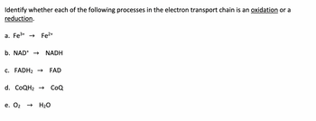 Identify whether each of the following processes in the electron transport chain is an oxidation or a
reduction.
a. Fe³+ → Fe²+
b. NAD+ → NADH
C. FADH₂ → FAD
d. CoQH₂ → CoQ
e. O₂ → H₂O