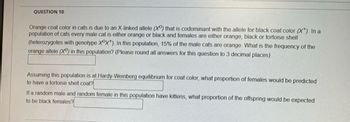 QUESTION 10
Orange coat color in cats is due to an X-linked allele (X) that is codominant with the allele for black coat color (X). In a
population of cats every male cat is either orange or black and females are either orange, black or tortoise shell
(heterozygotes with genotype XOX+). In this population, 15% of the male cats are orange. What is the frequency of the
orange allele (X) in this population? (Please round all answers for this question to 3 decimal places)
Assuming this population is at Hardy-Weinberg equilibrium for coat color, what proportion of females would be predicted
to have a tortoise shell coat?
If a random male and random female in this population have kittens, what proportion of the offspring would be expected
to be black females?