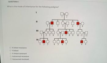 QUESTION 4
What is the mode of inheritance for the following pedigree?
OX-linked recessive
O Y-linked
O X-linked dominant
O Autosomal recessive
O Autosomal dominant
11
IV
DOOD
1 2 3 4
OI
2
1 2 3
3
5
сто
1
2
4
5 6
6 7 8 9
4 5 6 7
7
8
DO
10 11 12
8 9