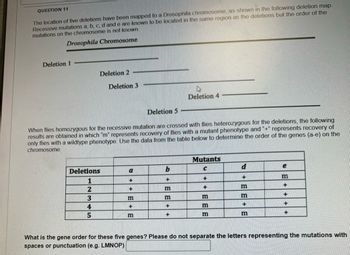 QUESTION 11
The location of five deletions have been mapped to a Drosophila chromosome, as shown in the following deletion map.
Recessive mutations a, b, c, d and e are known to be located in the same region as the deletions but the order of the
mutations on the chromosome is not known.
Drosophila Chromosome
Deletion 1
Deletion 2
Deletion 3
Deletion 4
Deletion 5
When flies homozygous for the recessive mutation are crossed with flies heterozygous for the deletions, the following
results are obtained in which "m" represents recovery of flies with a mutant phenotype and "+" represents recovery of
only flies with a wildtype phenotype. Use the data from the table below to determine the order of the genes (a-e) on the
chromosome.
Mutants
Deletions
a
b
C
d
e
1
+
+
+
+
m
2
+
m
+
m
3
m
m
m
m
4
+
+
m
+
+
5
m
+
m
m
+
What is the gene order for these five genes? Please do not separate the letters representing the mutations with
spaces or punctuation (e.g. LMNOP)