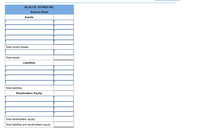 BLUE CO. STORES INC.
Balance Sheet
Assets:
Total current assets
Total assets
Liabilities:
Total liabilities
Stockholders' Equity:
Total stockholders' equity
Total liabilities and stockholders' equity
