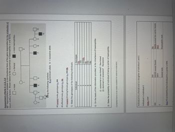 Assessment criteria 3.1.3.2, 3.3
Q7. Haemophiliacs possess a non-functional form of the gene responsible for the production of
blood clotting factors. Shown below is the occurrence of haemophilia in one family.
= male
O
= female
= male haemophiliac
2
sing the following symbols:
8
HE dominant allele h = recessive allele
All poram/male, genotype is_HH
All affected male, genotype is bb.
All noramshowing female genotype is_HH/Hh
1) State the genotypes of the following individuals.
Individual
Genotype
Hh₂
2
HH
3
HH/Hb
5
b.b
6
HH
9
Hh.
2) On the basis of the information provided, is the inheritance of haemophilia:
(i) autosomal or sex-linked? Sex-linked
(ii) dominant or recessive? Recessive
3) State the probability of individual 8 being a carrier of haemophilia.
Completed forms to be made available for external moderation.
Individual 8 is a female and is a daughter of individual 1 and 2.
Individual 1 x individual 2
XHXhXXHY
XH
XH
XHXH normal female
XHY
Y
normal male
Thus the probability that individual 8 is a carrier is 50%.
12
10
Xh
XHXh normal but carrier female
XhX
Haemophilic male