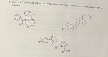 4 Copy the following structures into your lab notebook and indicate the chiral carbons with an
asterisk:
H
N
H
N
Ḥ
HO
NH₂
H
-N
HO
H
A
OH
B
P
D