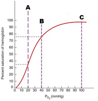 A
100
в
90
80
70
60
50
40
30
20
10
O 10 20 30 40 50 60 70 80 90 1000
Po, (mmHg)
Percent saturation of hemoglobin
