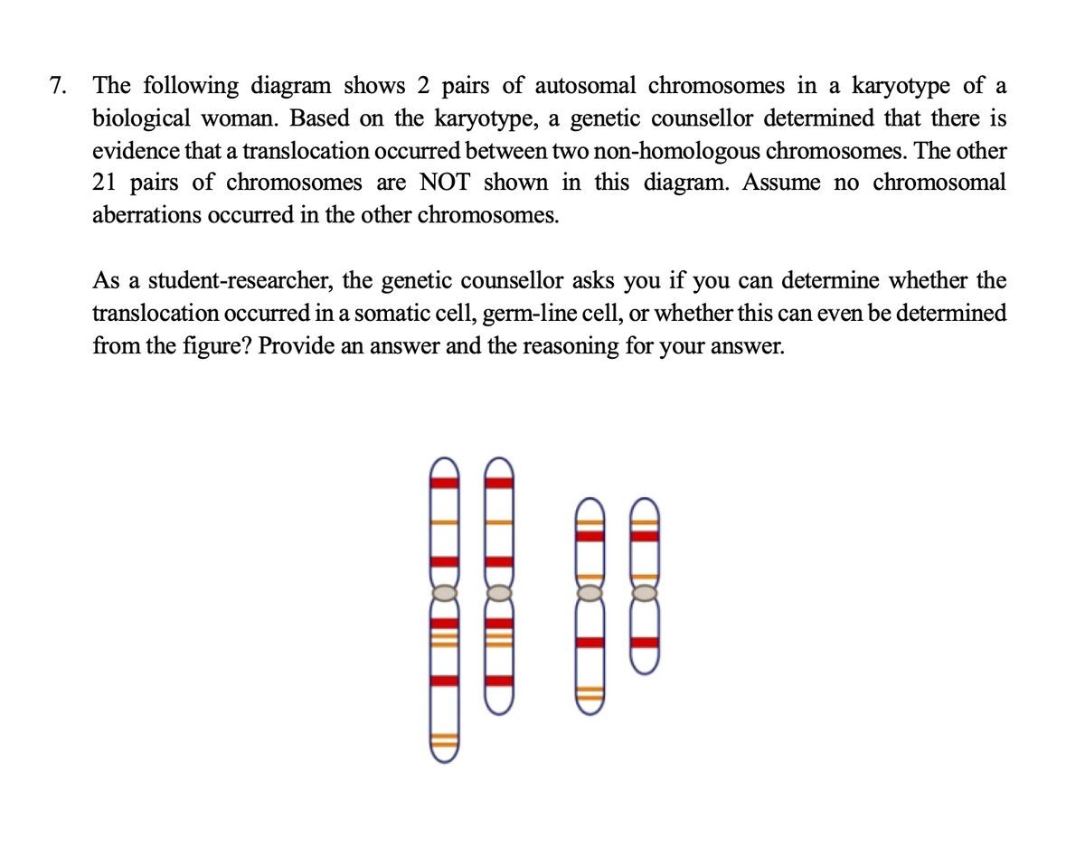 what do chromosomes look like and how are pairs identified