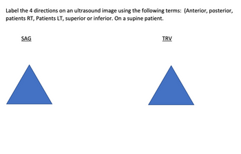 Answered: Label The 4 Directions On An Ultrasound… | Bartleby