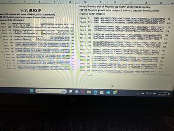 First BLASTP
Mastp of M. Musculus with human FGFR3 (NP_075254.1) as the query.
TOP HIT: fibroblast growth factor receptor 3 isoform 5 (Mus musculur)
Sequence ID: NP_001345966.1
Query 172 VRFRCPAAGNPTPSISWLK-
VFC + PIWLK
a
DG YTC+ NG
Query 1
Sbjct
159
Query 61 VPSDRGNYTCVVENKFGSIRQTYTLDVLERSPHRPILQAGLPANQTAILGSDVEFHCKVY
VPSDRGNYTCVVENKFGSIRQTYTLDVLERSPHRPILQAGLPANQTA+LGSDVEFHCKVY
VPSDRGNYTCVVENKFGSIRQTYTLDVLERSPHRPILQAGLPANQTAVLGSDVEFHCKVY
277
Sbjct 219
229
KVSLESNASMSSNTPLVRIAR 330
+VSLESN+SM+SNTPLVRIAR
284
Query 121 SDAQPHIQWLKHVEVNGSKVGPDGTPYVTVLKTAGANTTDKELEVLSLHNVTFEDAGEYT
SDAQPHIQWLKHVEVNGSKVGPDGTPYVTVLKTAGANTTDKELEVLSLHNVTFEDAGEYT
SDAQPHIQWLKHVEVNGSKVGPDGTPYVTVLKTAGANTTDKELEVLSLHNVTFEDAGEYT
Query 278 YSDAQPHIQWLKHVEVNGSKVGPDGTPYVTVL
L G
Sbjct 279
338
Sbjet 230 LVVAAVILCRLRSPPKKGL- -GSPTVHKVSRFPLKROVSLESNSSMNSNTPLVRIAR
390
LSSGEGP LANVSELELPADPKWELSR RLTLGKPLGEGCFGOVVMAEAIGIDKDR AKP
344
450
Query 331 LSSGEGPTLANVSELELPADPKWELSRARLTLGKPLGEGCFGOVVMAEAIGIDKDRAAKP
Query 181 CLAGNSIGFSHHSAWLVVL PAEEELMETDEAGSVYAGVLSYGVVFFLFILVVAAVILCRL 240
CLAGNSIGFSHHSAWLVVL PAEEEL+E DEAGSVYAG+LSYGV FFLFILVVAAV LCRL
Sbjet 285 LSSGEGPVLANVSELELPADPKWELSRTALTLGKPLGEGCFGQVVMAEAIGIDKDRTAKP
Sbjct 339 CLAGNSIGFSHHSAWLVVL PAEEELVEADEAGSVYAGILSYGVGFFLFILVVAAVTLCRL 398
Query 391 VTVAVKMLKDDATDKDLSDLVSEMEMMKMIGKHKNIINLLGACTOGGPLYVLVEYAAKGN
VTVAVKMLKDDATDKDLSDLVSEMEMMKMIGKHKNIINLLGACTOGGPLYVLVEYAAKGN
Query 241
RSPPKKGLGSPTVHKVSRFPLKROVSLESNSSMNSNTPLVRIARLSSGEGPVLANVSELE 300
Sbjct 345 VTVAVIMLKDDATDKDLSDLVSEMEMMKMIGKHKNIINLLGACTOGGPLYVLVEYAAKGN 404
RSPPKKGLGSPTVHK+SRFPLKROVSLESN+SM+SNTPLVRIARLSSGEGP LANVSELE
Sbjct 399 RSPPKKGLGSPTVHKISRFPLKROVSLESNASMSSNTPLVRIARLSSGEGPTLANVSELE 458
Query 451 LREFLRARRPPGLDYSFDTCKPPEEOLTFKDLVSCAYOVARGHEYLASOKCIHRDLAARN 510
LREFLRARRPPG+DYSFD C+ PEEQLT KDLVSCAYOVARGMEYLASOKCIHRDLAARN
Query 301 LPADPKWELSRTRLTLGKPLGEGCFGQVVMAEAIGIDKDRTAKPVTVAVKMLKDDATDKD 360
Sbjct 405 LREFLRARRPPGMDYSFDACRLPEEQLTCKDLVSCAYQVARGMEYLASQKCIHRDLAARN 464
LPADPKWELSR RLTLGKPLGEGCFGQVVMAEAIGIDKDR AKPVTVAVKMLKDDATDKD
Query 511 VLVTEDNVMKIADFGLARDVHNLDYYKKTTNGRLPVKWMAPEALFDRVYTHOSDVWSFGV 570
Sbjct 459 LPADPKWELSRARLTLGKPLGEGCFGQVVMAEAIGIDKDRAAKPVTVAVKMLKDDATDKD 518
VLVTEDNVMKIADFGLARDVHNLDYYKKTTNGRLPVKWMAPEALFORVYTHOSDVWSFGV
Sbjet 465 VLVTEDNVMKIADFGLARDVHNLDYYKKTTNGRLPVKWMAPEALFORVYTHOSDVWSFGV 524
Query 361 LSDLVSEMEMMKMIGKHKNIINLLGACTOGGPLYVLVEYAAKGNLREFLRARRPPGMDYS 420
Query 571 LLWEIFTLGGSPYPGIPVEELFKLLKEGHRMOKPANCTHDLYMIMRECWHAAPSORPTFK 630
LSDLVSEMEMMKMIGKHKNIINLLGACTOGGPLYVLVEYAAKGNLREFLRARRPPG+DYS
Sbjct 519 LSDLVSEMEMMKMIGKHKNIINLLGACTOGGPLYVLVEYAAKGNLREFLRARRPPGLDYS 578
Sujet 525 LLWEIFTLGGSPYPGIPVEELFKLLKEGHRMDKPASCTHDLYMIMRECWHAVPSORPTFK 584 Query 421 FDACRLPEEQLTCKDLVSCAYQVARGMEYLASQKCIHRDLAARNVLVTEDNVMKIADFGL 480
A
9
+G+
Sbjct 113 VEFHCKVYSDAQPHIQWLKHVEVNGSKVGPDGTPYVTVLKTAGANTTOKELEVLSLHNVT
Query 220
Sbjct 173 FEDAGEYTCLAGNSIGFSHHSAWLWL-AEEELMETDEAGSVYAGVLSYGVVFFLFI
PSDRGNYTCWVENKFGSIROTYTLDVLERSHRPILOAGLPANQT-AVLGSDVEFHCKV
L VL
▬
10
NGREFRGEHRIGGINLR 100WS-LVMESVV 219
++L+V
+G
172
G+P V +
Q Search
LLWEIFTLGGSPYPGIPVEELFKLLKEGHRMOKPA CTHDLYMIMRECWHA PSORPTFK
VL VF+
11
12
13
14
15
Blastp of humans with M. Musculus top hit (NP_001345966.1) as query.
TOP HIT: fibroblast growth factor receptor 3 isoform 1 precursor [Homo sapiens]
Sequence ID: NP_000133.1
16
MDKKLLAVPAANTVRFRCPAAGNPTPSISWLKNGKEFRGEHRIGGIKLRHQQWSLVMESV 60
MDKKLLAVPAANTVRFRCPAAGNPTPSISWLKNG+EFRGEHRIGGIKLRHQQWSLVMESV
MDKKLLAVPAANTVRFRCPAAGNPTPSISWLKNGREFRGEHRIGGIKLRHOQWSLVMESV 218
En r DECAIT VOI VECAVOVADCUEVI ACAVATUDDI AADAVI UTCOAUMUTADcri
120
278
180
12:27 PM
12/3/2023