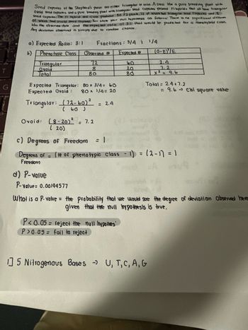 T
Seed capsules of the Shepherd's pusse are either triangular or ovid. A cross blu a pure breeding plant with
Ovoid seed capsules and a pure breeding plant with triangular seed Capsules viewed Fl hybrids that all have triangular
seed capsules. The Fl hybrid self-cross produced 50 F2 plants, 72 of which had triangular seed Capsules and 8
of which had ovoid Seed Capswer You state your null hypothesis as follows: There is no significant differen
blw the observed data and the expected ratio of 3:1 that would be predicted for a monohybrid cross.
Any deviation abserved is simply due to random chance.
a) Expected Ratio: 3:1 Fractions: 3/4 i
b)
Phena typic Class
Observed # Expected #
72
8
80
Triangular
Ovaid
Total
Expected Triangular:
Expected Ovoid :
80 × 3/4 = 60
80 x 1/4= 20
Triangular: (72-60)²
( 60 )
Ovoid: (8-20)2 = 7.2
(20)
d) P-value
P-value: 0.00194577
= 2.4
60
20
80
P<0.05= reject the null hypothes
P>0.05 fail to reject
1/4
(0-E)/E
2.4
7. 2
x² = 9.6
Total = 2.4+7.2
c) Degrees of Freedom :
Degrees of = (# of phenotypic class - 1) = (2-1) = 1
Freedom
5 Nitrogenous Bases > U, T, C, A, G
= 9.6 Chi square vake
What is a P-valve = the probability that we would see the degree of deviation observed here
given that the null hypothesis is true.