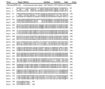 Score
Expect Method
Positives
Gaps Frame
1506 bits(3898) 0.0() Compositional matrix adjust. 736/796(92%) 755/796(94%) 6/796(0%)
Query 1
MGAPACALALCVAVAIVAGASSESLGTEQRVVGRAAEVPGPEPGQQEQLVFGSGDAVELS 60
PAC L CVAV VAGA+SE G EQRVV RAAEVPGPEP QQEQ+ FGSGD VELS
MVVPACVLVFCVAV--VAGATSEPPGPEQRVVRRAAEVPGPEPSQQEQVAFGSGDTVELS 58
Sbjct 1
Query 61
CPPPGGGPMGPTVWVKDGTGLVPSERVLVGPQRLQVLNASHEDSGAYSCRQRLTORVLCH 120
Sbjct 59 CHPPGGAPTGPTVWAKDGTGLVASHRILVGPQRLOVLNASHEDAGVYSCQHRLTRRVLCH 118
Query 121 FSVRVTDAPSSGDDEDGEDEAEDTGVDTGAPYWTRPERMDKKLLAVPAANTVRFRCPAAG 180
174
Sbjct 119
FSVRVTDAPSSGDDEDGEDVAEDTG----APYWTRPERMDKKLLAVPAANTVRFRCPAAG
Query 181
NPTPSISWLKNGREFRGEHRIGGIKLRHQQWS LVMESVVPSDRGNYTCVVENKFGSIRQT 240
NPTPSISWLKNG+EFRGEHRIGGIKLRHOQWS LVMESVVPSDRGNYTCVVENKFGSIROT
Sbjct 175 NPTPSISWLKNGKEFRGEHRIGGIKLRHOOWS LVMESVVPSDRGNYTCVVENKFGSIROT 234
M
C PPGG P GPTVW KDGTGLV S R+LVGPQRLQVLNASHED+G YSC+ RLT+RVLCH
FSVRVTDAPSSGDDEDGED AEDTG
Identities
APYWTRPERMDKKLLAVPAANTVRFRCPAAG
Query 241 YTLDVLERSPHRPILQAGLPANQTAVLGSDVEFHCKVYSDAQPHIQWLKHVEVNGSKVGP 300
YTLDVLERSPHRPILQAGLPANQTA+LGSDVEFHCKVYSDAQPHIQWLKHVEVNGSKVGP
Sbjct 235 YTLDVLERSPHRPILQAGLPANQTAILGSDVEFHCKVYSDAQPHIQWLKHVEVNGSKVGP 294
Query 301 DGTPYVTVLKSWISESVEADVRLRLANVSERDGGEYLCRATNFIGVAEKAFWLSVHGPRA
360
DGTPYVTVLKSWISENVEADARLRLANVSERDGGEYLCRATNFIGVAEKAFWLRVHGPQA
354
Sbjct 295
Query 361
AEEELVEADEAGSVYAGILSYGVGFFLFILVVAAVTLCRLRSPPKKGLGSPTVHKISRFP 420
AEEEL+E DEAGSVYAG+LSYGV FFLFILVVAAV LCRLRSPPKKGLGSPTVHK+SRFP
Sbjct 355 AEEELMETDEAGSVYAGVLSYGVVFFLFILWVAAVILCRLRSPPKKGLGSPTVHKVSRFP 414
Query 421 LKROVSLESNASMSSNTPLVRIARLSSGEGPTLANVSELELPADPKWELSRARLTLGKPL
480
474
Sbjct 415
Query 481 GEGCFGQVVMAEAIGIDKDRAAKPVTVAVKML KDDATDKDLSDLVSEMEMMKMIGKHKNI 540
Sbjct 475 GEGCFGQVVMAEAIGIDKDRTAKPVTVAVKML KDDATDKDLSDLVSEMEMMKMIGKHKNI 534
Query 541 INLLGACTQGGPLYVLVEYAAKGNL REFLRARRPPGLDYSFDTCKPPEEQLTFKDLVSCA 600
INLLGACTOGGPLYVLVEYAAKGNLREFLRARRPPG+DYSFD C+ PEEQLT KDLVSCA
INLLGACTOGGPLYVLVEYAAKGNL REFLRARRPPGMDYSFDACRL PEEQLTCKDLVSCA 594
Sbjct 535
Query 601 YQVARGMEYLASQKCIHRDLAARNVLVTEDNVMKIADFGLARDVHNLDYYKKTTNGRLPV 660
YOVARGMEYLASQKCIHRDLAARNVLVTEDNVMKIADFGLARDVHNLDYYKKTTNGRLPV
Sbjct 595 YOVARGMEYLASQKCIHRDLAARNVLVTEDNVMKIADFGLARDVHNLDYYKKTTNGRLPV
654
Query 661
KWMAPEAL FDRVYTHQSDVWSFGVLLWEIFTLGGSPYPGIPVEELFKLLKEGHRMDKPAN 720
Sbjct 655
714
Query 721
CTHDLYMIMRECWHAAPSQRPTFKQLVEDLDRVLTVTSTDEYLDLSAPFEQYSPGGQDTP 780
CTHDLYMIMRECWHA PSQRPTFKQLVEDLDR+LTVTSTDEYLDLS PFEQYSPGGQDTP
CTHDLYMIMRECWHAVPSORPTFKQLVEDLDRILTVTSTDEYLDLSVPFEQYSPGGQDTP 774
Sbjct 715
Query 781
Sbjct 775
DGTPYVTVLKSWISE+VEAD RLRLANVSERDGGEYLCRATNFIGVAEKAFWL VHGP+A
LKROVSLESN+SM+SNTPLVRIARLSSGEGP LANVSELELPADPKWELSR RLTLGKPL
LKROVSLESNSSMNSNTPLVRIARLSSGEGPVLANVSELELPADPKWELSRTRLTLGKPL
GEGCFGQVVMAEAIGIDKDR AKPVTVAVKML KDDATDKDLSDLVS EMEMMKMIGKHKNI
SSSSSGDDSVFAHDLL 796
SSSSSGDDSVF HDLL
SSSSSGDDSVF THDLL 790
KWMAPEALFDRVYTHQSDVWSFGVLLWEIFTLGGSPYPGIPVEELFKLLKEGHRMDKPA+
KWMAPEALFDRVYTHQSDVWSFGVLLWEIFTLGGSPYPGIPVEELFKLLKEGHRMDKPAS