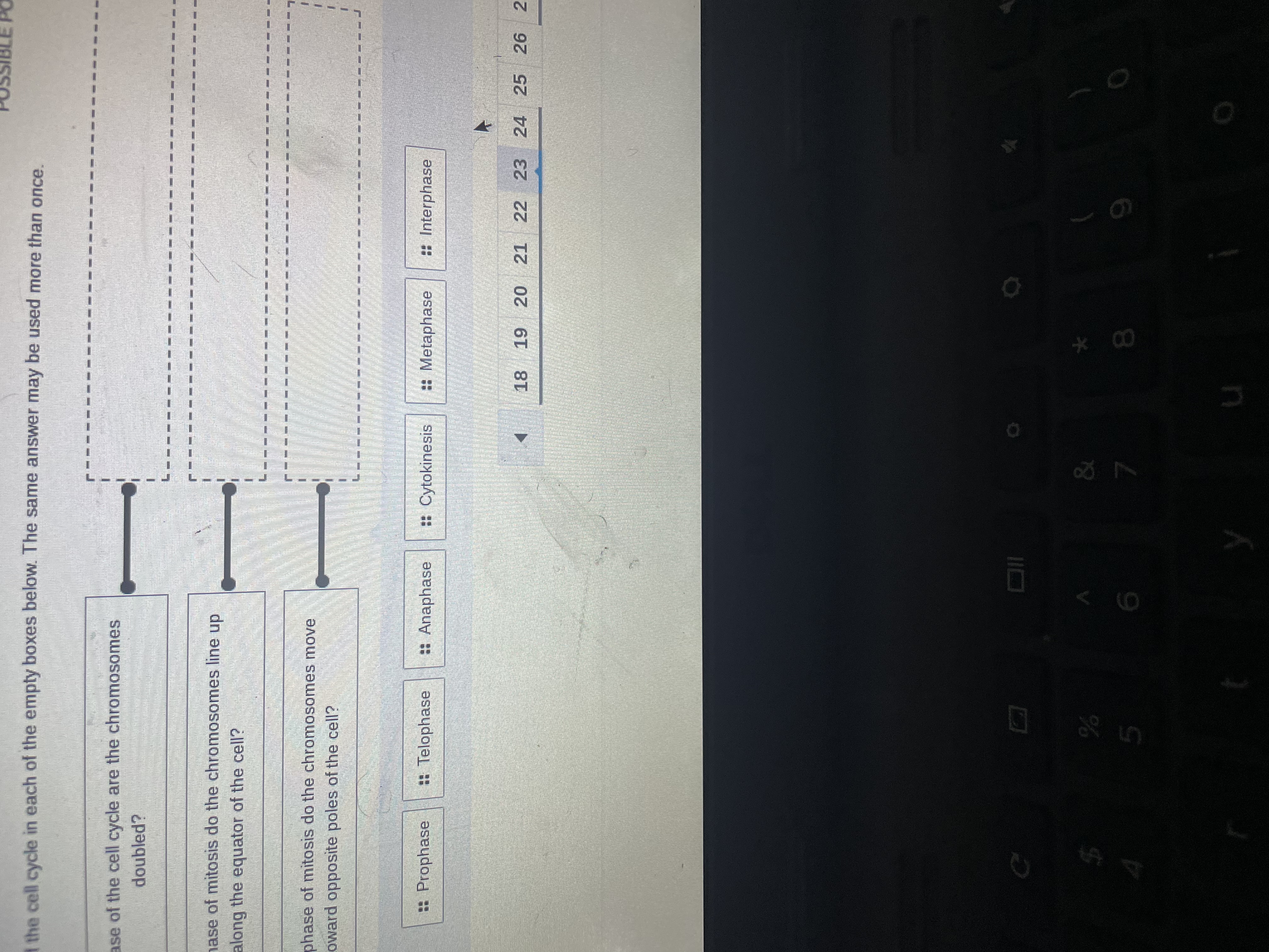1.
3D
%3.
1.
1.
*00
1 the cell cycle in each of the empty boxes below. The same answer may be used more than once
ase of the cell cycle are the chromosomes
doubled?
nase of mitosis do the chromosomes line
un
along the equator of the cell?
phase of mitosis do the chromosomes move
oward opposite poles of the cell?
: Prophase
: Telophase
: Anaphase
: Cytokinesis
: Metaphase
: Interphase
18 19 20 21 22
23 24 25 26
2
