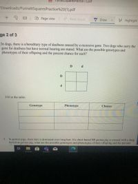 what is a recessive gene in dogs