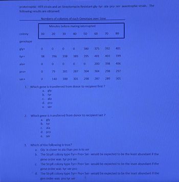 prototrophic HFR strain and an Streptomycin Resistant gly- tyr- ala- pro- ser- auxotrophic strain. The
following results are obtained:
Numbers of colonies of each Genotype over time
Minutes before mating interrupted
colony
10
20
30 40
50
60
60
TO
70
88
80
genotype
gly+
0
0 0
0
380
375 392 401
tyr+
98
396
398
389
395
401
403 399
ala+
0
0
O
0
0
200
398
406
prot
0
79
301
287
304
304 298
297
ser+
0
140
300
301
298
287 289
301
1. Which gene is transferred from donor to recipient first?
2.
a. gly
b. tyr
C.
ala
d. pro
e. ser
Which gene is transferred from donor to recipient last?
a. gly
b. tyr
C.
ala
d. pro
e.
ser
3. Which of the following is true?
a. Gly is closer to ala than pro is to ser
b. The StrpR colony type Tyr+ Pro+ Ser- would be expected to be the least abundant if the
gene order was tyr pro ser
C The StrpR colony type Tyr+ Pro+ Ser- would be expected to be the least abundant if the
gene order was tyr ser pro
d. The StrpR colony type Tyr+ Pro+ Ser- would be expected to be the least abundant if the
gen order was pro tyr ser