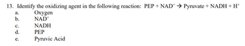 13. Identify the oxidizing agent in the following reaction: PEP+ NAD → Pyruvate + NADH+H*
Oxygen
NAD+
NADH
PEP
Pyruvic Acid
a.
b.
C.
d.
e.