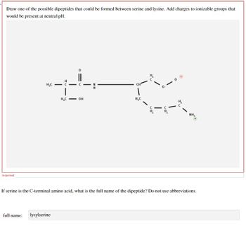 Draw one of the possible dipeptides that could be formed between serine and lysine. Add charges to ionizable groups that
would be present at neutral pH.
Incorrect
H₂C
-
― c
N
H₂C
OH
H₂C
-
NH,
If serine is the C-terminal amino acid, what is the full name of the dipeptide? Do not use abbreviations.
full name:
lysylserine