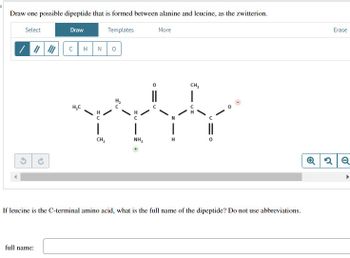 Draw one possible dipeptide that is formed between alanine and leucine, as the zwitterion.
Select
Draw
Templates
с
HN
о
46
H₂C
|
More
CH,
NH,
H
3
CH3
If leucine is the C-terminal amino acid, what is the full name of the dipeptide? Do not use abbreviations.
full name:
Erase
Q2 Q