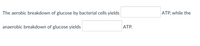 The aerobic breakdown of glucose by bacterial cells yields
ATP, while the
anaerobic breakdown of glucose yields
ATP.
