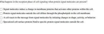 What happens in the reception phase of cell signaling when protein signal molecules are present?
Signal molecules induce a change in membrane proteins that activates other proteins within the cell.
Protein signal molecules outside the cell diffuse through the phospholipids in the cell membrane.
A cell reacts to the message from signal molecules by initiating changes in shape, activity, or behavior.
Specialized cell surface proteins bind to specific protein signal molecules outside the cell.