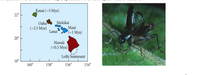 Kauai (~5 Mya)
22°
Molokai
Maui
(~1 Mya)
Oahu
(~2.5 Мya)
Lanai
20°
Hawaii
(<0.5 Mya)
Loihi Seamount
18°
160°
158°
156°
154°
