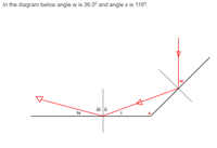 In the diagram below angle w is 36.0° and angle x is 116°.
w
iv
