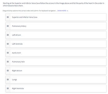 **Heart Circulation Pathway Exercise**

Starting at the Superior and Inferior Vena Cava, follow the arrows in the sequence provided to list the parts of the heart in the order in which blood enters them. 

Use the drag-and-drop function to arrange the heart components correctly:

1. **Superior and Inferior Vena Cava**
2. **Right Atrium**
3. **Right Ventricle**
4. **Pulmonary Artery**
5. **Lungs**
6. **Pulmonary Vein**
7. **Left Atrium**
8. **Left Ventricle**
9. **Aortic Arch**

This exercise is designed to help understand the flow of blood through the heart and lungs for oxygenation and distribution to the body. Ensure that each part is placed in the correct sequence.